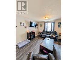 Laundry room - 226 Harold Street N, Thunder Bay, ON P7C4C4 Photo 7