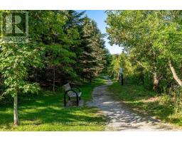 85 Canoe Avenue, Richmond Hill, ON L4E3Y2 Photo 32