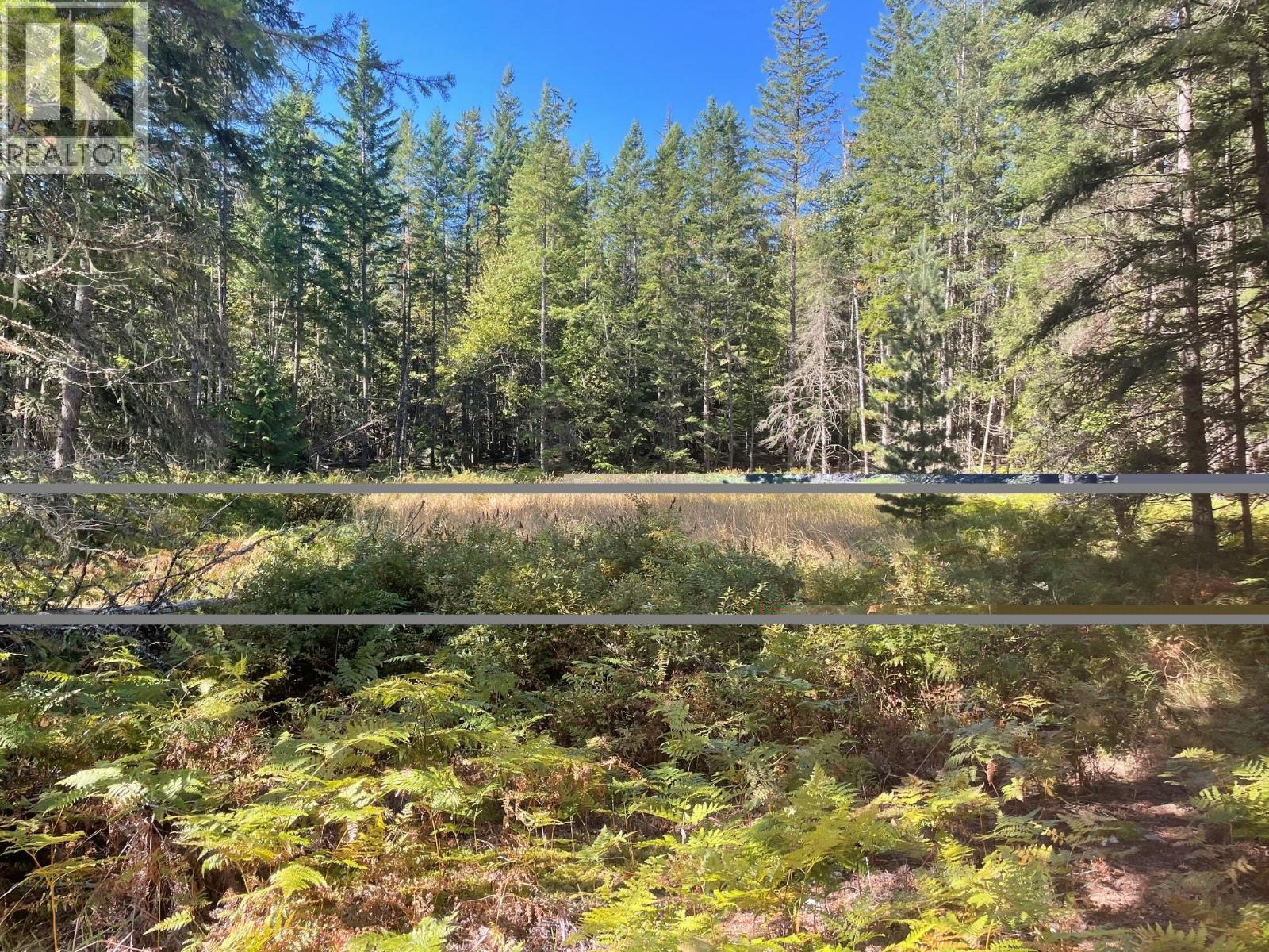 Bartley Road, Nakusp
