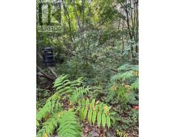 2 - 28 Purdon Drive, Toronto, ON M3H4X1 Photo 16