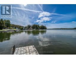 166 White Lake Road, Stone Mills, ON K0K2A0 Photo 30