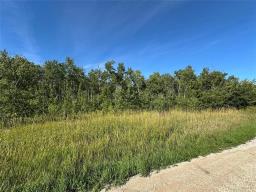 2 Night Swimming Drive, Lake Manitoba Narrows, MB R0L1S0 Photo 13