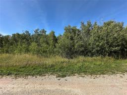 2 Night Swimming Drive, Lake Manitoba Narrows, MB R0L1S0 Photo 16