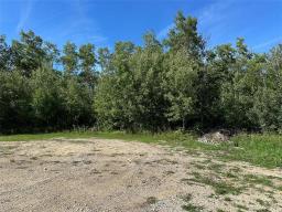 2 Night Swimming Drive, Lake Manitoba Narrows, MB R0L1S0 Photo 36