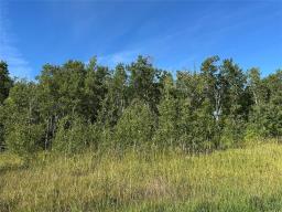 2 Night Swimming Drive, Lake Manitoba Narrows, MB R0L1S0 Photo 7