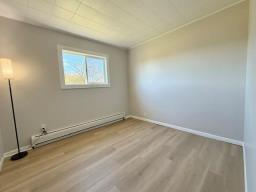 276 Sarah Avenue, Miniota, MB R0M1M0 Photo 23