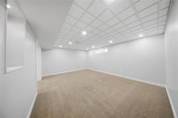 39 Craigmohr Drive, Winnipeg, MB R3T6A5 Photo 32