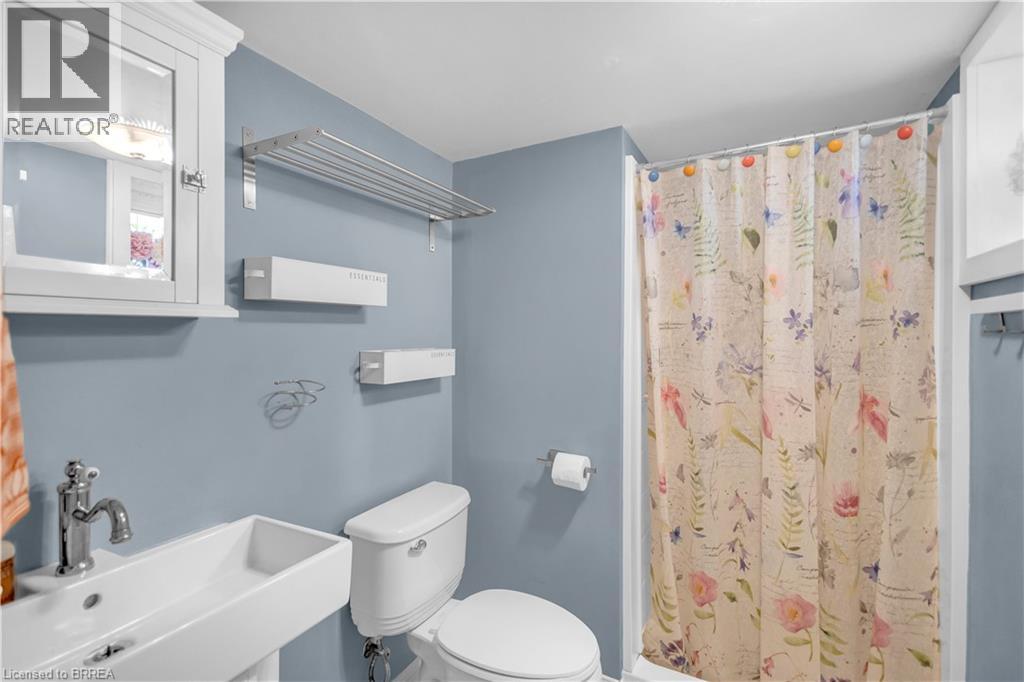 17 ALEXANDER Avenue - 32