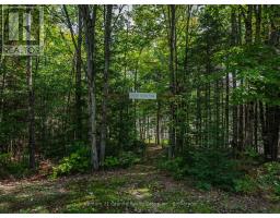 1453 Fleming Road, Minden Hills, ON K0M2K0 Photo 32