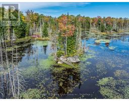 1453 Fleming Road, Minden Hills, ON K0M2K0 Photo 38