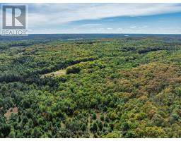 1453 Fleming Road, Minden Hills, ON K0M2K0 Photo 43