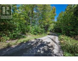 1453 Fleming Road, Minden Hills, ON K0M2K0 Photo 46