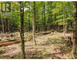 131 Deerfoot Trail, Huntsville, ON P1H0A8 Photo 6