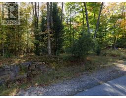131 Deerfoot Trail, Huntsville, ON P1H0A8 Photo 7