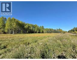 18509 Twp Rd 521a, Rural Yellowhead County, AB T0E1X0 Photo 6