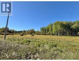 18509 Twp Rd 521a, Rural Yellowhead County, AB T0E1X0 Photo 7