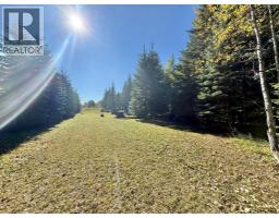 18509 Twp Rd 521a, Rural Yellowhead County, AB T0E1X0 Photo 22
