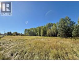 18509 Twp Rd 521a, Rural Yellowhead County, AB T0E1X0 Photo 9