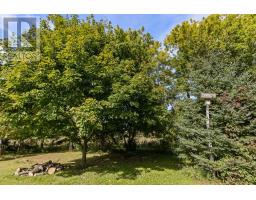 101 Waite Street S, Whitewater Region, ON K0J1V0 Photo 16