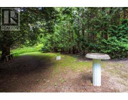 550 Huron Road N, South Bruce Peninsula, ON N0H1X0 Photo 24