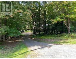 120 Line Hill Road, Huntsville, ON P1H1H4 Photo 17