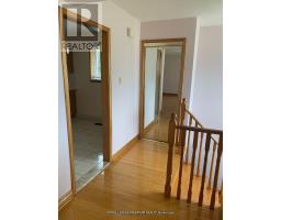 155 Rainbow Drive, Vaughan, ON L4L2K8 Photo 11