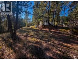 4906 Lynx Drive, Radium Hot Springs, BC V0A1M0 Photo 26