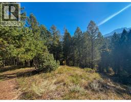 4906 Lynx Drive, Radium Hot Springs, BC V0A1M0 Photo 34