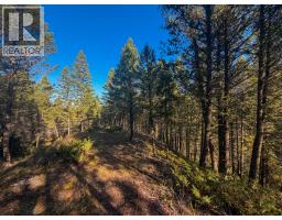 4906 Lynx Drive, Radium Hot Springs, BC V0A1M0 Photo 30