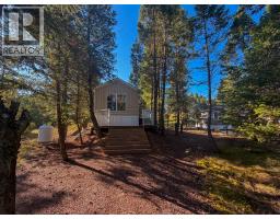 4906 Lynx Drive, Radium Hot Springs, BC V0A1M0 Photo 23