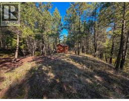 4906 Lynx Drive, Radium Hot Springs, BC V0A1M0 Photo 28