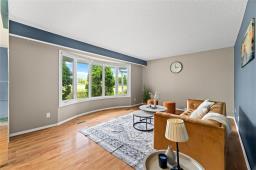 Recreation room - 246 4th Street S, Niverville, MB R0A0A2 Photo 7