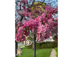 19 Illinois Ave, Sault Ste  Marie, ON P6A4M2 Photo 39