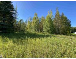 #42 52318 Rge Road 25, Rural Parkland County, AB T7Z1Z4 Photo 10