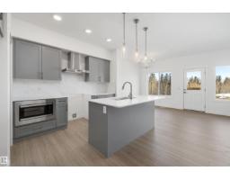 Bonus Room - 4178 Kinglet Dr Nw, Edmonton, AB T5S0W9 Photo 7