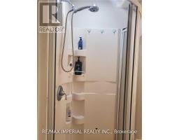 Bsmt - 55 Sassafras Circle, Vaughan, ON L4J8M7 Photo 6