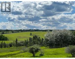 252036 Rge Rd 54a, Rural Rocky View County, AB T4C2W1 Photo 7
