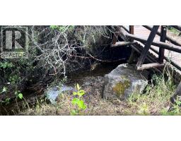 252036 Rge Rd 54a, Rural Rocky View County, AB T4C2W1 Photo 16