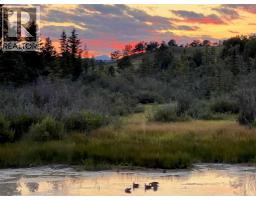 252036 Rge Rd 54a, Rural Rocky View County, AB T4C2W1 Photo 18
