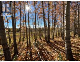 252036 Rge Rd 54a, Rural Rocky View County, AB T4C2W1 Photo 6