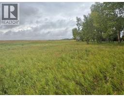 28159 Township Road 300 Township, Rural Mountain View County, AB T0M0N0 Photo 37