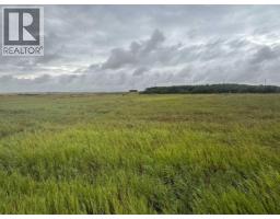 28159 Township Road 300 Township, Rural Mountain View County, AB T0M0N0 Photo 40