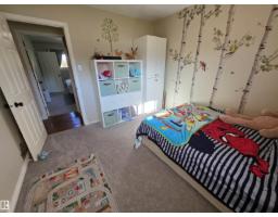 4804 55 Av, Drayton Valley, AB T7A1B5 Photo 18