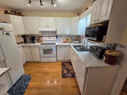 447 Christie Street, La Riviere, MB R0G1A0 Photo 13