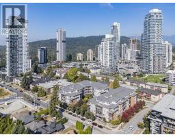 216 607 Cottonwood Avenue, Coquitlam, BC V3J0H1 Photo 29