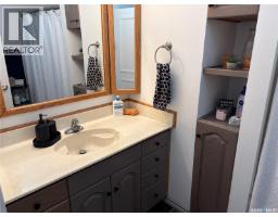 3pc Bathroom - 133 2nd Avenue Ne, Wadena, SK S0A4J0 Photo 14