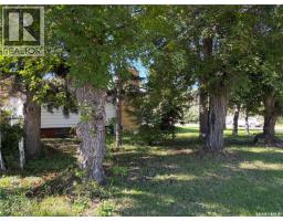 133 2nd Avenue Ne, Wadena, SK S0A4J0 Photo 39