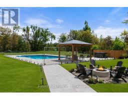 221 - 99 Louisa Street, Kawartha Lakes, ON K0M1N0 Photo 41