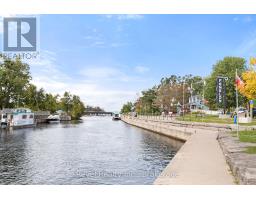 221 - 99 Louisa Street, Kawartha Lakes, ON K0M1N0 Photo 46