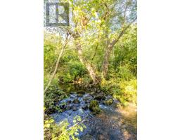 8113 Highway 1, Upper Granville, NS B0S1A0 Photo 9